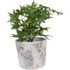 Clayre & Eef 6TE0520L Pot de fleurs terre cuite blanc bleu Ø 18x15 cm style rustique