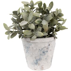 Clayre & Eef 6TE0520M Pot de fleurs terre cuite blanc...