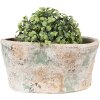 Clayre & Eef 6TE0533M Pot de fleurs Beige Vert 22x13x11 cm