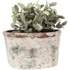 Clayre & Eef 6TE0534L Pot de fleurs 21x13x12 cm