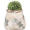 Clayre & Eef 6TE0536L Pot de fleurs 22x15x19 cm