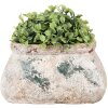 Clayre & Eef 6TE0536S Pot de fleurs 17x13x9 cm