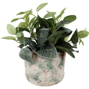 Clayre & Eef 6TE0530L Pot de fleurs Ø 18x15 cm...