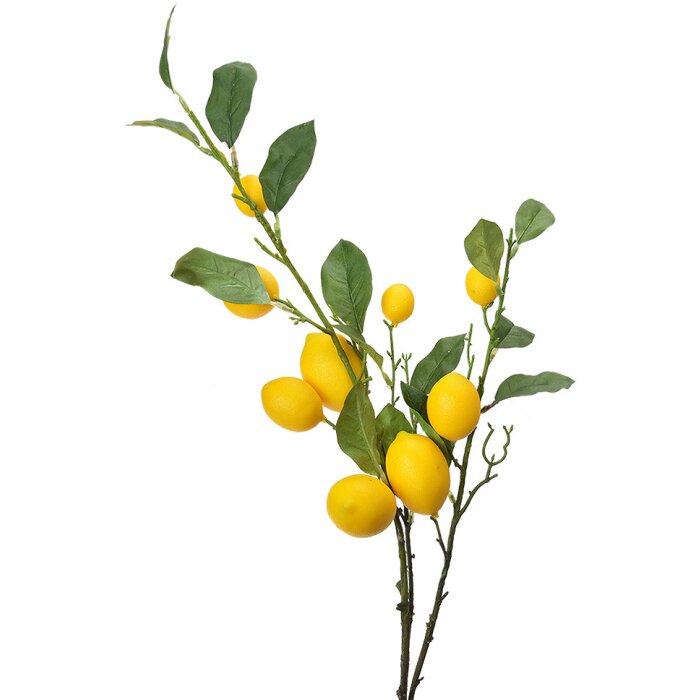 Clayre & Eef 5PL0105 Décoration Branche avec citrons 20x7x102 cm