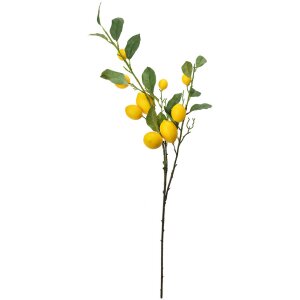 Clayre & Eef 5PL0105 Décoration Branche avec citrons 20x7x102 cm