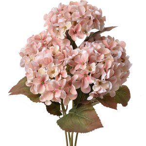 Clayre & Eef Fleur artificielle Hortensia rose vert...