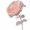 Clayre & Eef 50780 Décoration Rose Ø 33x100 cm