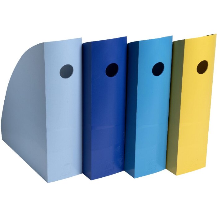 Exacompta 18202SETD Set de 4 porte-revues MAG-CUBE Bee Blue Couleurs assorties