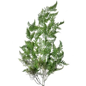 Clayre & Eef 6PL0284 Plante artificielle Vert...