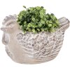 Clayre & Eef 6TE0542M Pot de fleurs Poulet Faïence Beige 21x14x13 cm Vintage