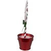 Clayre & Eef 6Y5626 Décoration Lollipop rouge blanc métal 12x9x26 cm