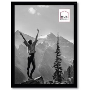 Haes Deco Cadre photo plastique EF3B Easy Frame noir...