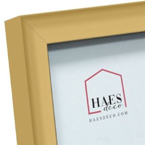 Haes Deco Easy Frame Gold cadre photo plastique 15x20 cm