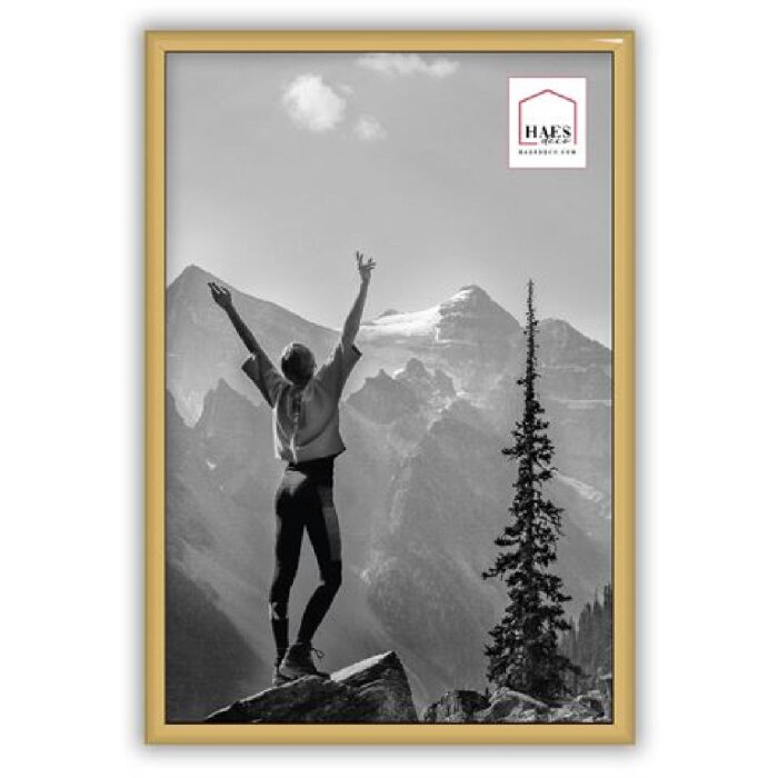 Haes Deco EF4G Easy Frame cadre photo plastique or 20x30 cm