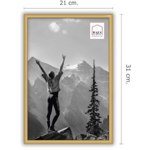 Haes Deco EF4G Easy Frame cadre photo plastique or 20x30 cm