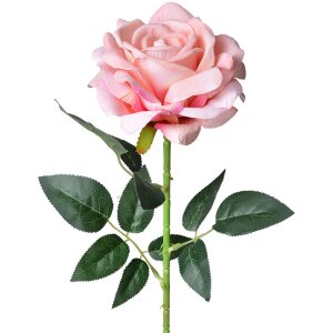 Clayre & Eef 5PL0106P Fleur artificielle Rose Rose...