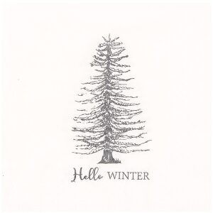 Clayre & Eef 73092 Serviettes en papier Hello Winter...