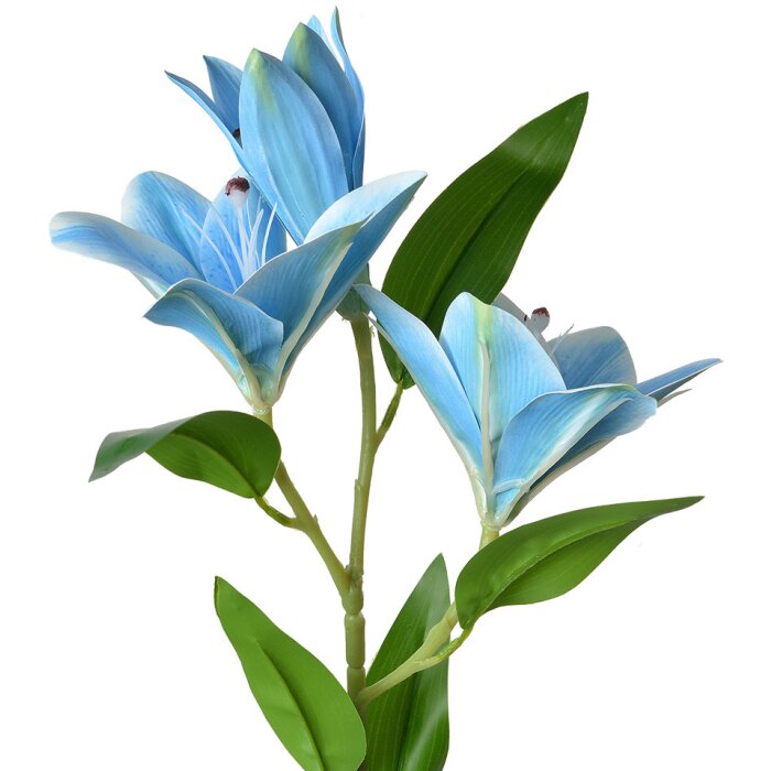 Clayre & Eef 5PL0119BL Branche décorative avec fleurs bleu vert 17x12x71 cm