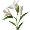 Clayre & Eef 5PL0119W Branche décorative Fleurs blanc 17x12x71 cm plastique