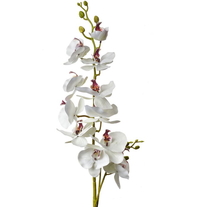 Clayre & Eef 5PL0126 Branche décorative avec fleurs blanc 16x10x115 cm Fleuriste