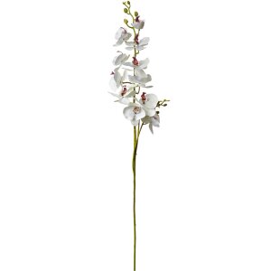 Clayre & Eef 5PL0126 Branche décorative avec fleurs blanc 16x10x115 cm Fleuriste