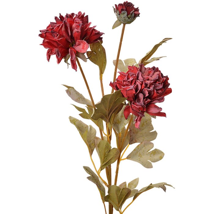 Clayre & Eef 6PL0328DP Branche décorative avec fleurs rouges 9x9x68 cm