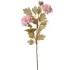 Clayre & Eef 6PL0328P Décoration Branche avec fleurs rose 9x9x68 cm