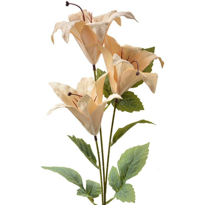 Clayre & Eef 6PL0337Y Décoration branche fleurs beige vert 15x10x72 cm