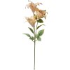 Clayre & Eef 6PL0337Y Décoration branche fleurs beige vert 15x10x72 cm