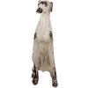 Clayre & Eef 5MG0048 Décoration Chien Beige Marron 37x24x79 cm