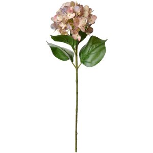 Clayre & Eef 5PL0137P Fleur artificielle rose verte...