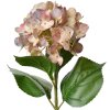 Clayre & Eef 5PL0137P Fleur artificielle rose verte 16x15x68 cm