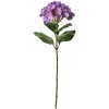 Clayre & Eef 5PL0137PA Fleur artificielle Violet Vert 16x15x68 cm