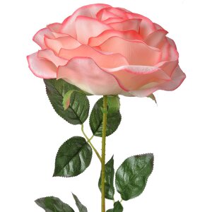 Clayre & Eef 5PL0138P Fleur artificielle Rose Rose...