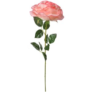 Clayre & Eef 5PL0138P Fleur artificielle Rose Rose...