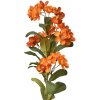 Clayre & Eef 6PL0344O Branche décorative Fleurs Orange Vert 17x14x70 cm