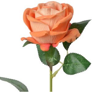 Clayre & Eef 6PL0359O Fleur artificielle Rose 8x8x50 cm