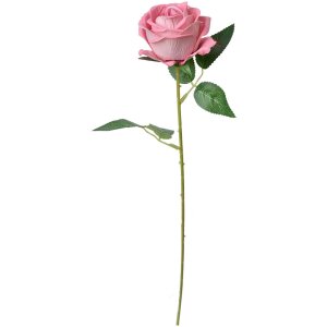 Clayre & Eef 6PL0359P Fleur artificielle Rose 8x8x50 cm