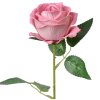 Clayre & Eef 6PL0359P Fleur artificielle Rose 8x8x50 cm