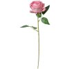 Clayre & Eef 6PL0359P Fleur artificielle Rose 8x8x50 cm