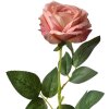 Clayre & Eef 6PL0360 Fleur artificielle Rose 10x10x62 cm