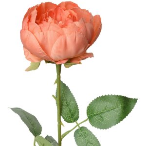 Clayre & Eef 6PL0366O Fleur artificielle rose orange...