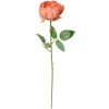 Clayre & Eef 6PL0366O Fleur artificielle rose orange 8x8x62 cm