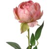 Clayre & Eef 6PL0366P Fleur artificielle Rose 8x8x62 cm