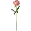 Clayre & Eef 6PL0366P Fleur artificielle Rose 8x8x62 cm