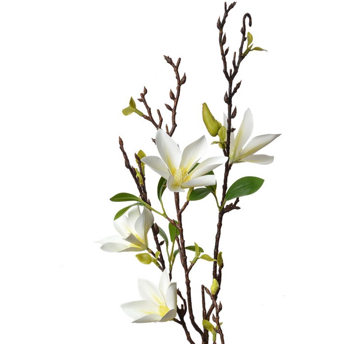 Clayre & Eef 5PL0129W Décoration Branche avec fleurs blanches 15x7x84 cm