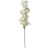 Clayre & Eef 5PL0131W Décoration Branche avec fleurs blanc 16x8x98 cm