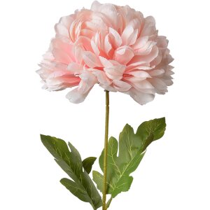 Clayre & Eef 5PL0133LP Fleur artificielle rose...