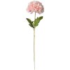 Clayre & Eef 5PL0133LP Fleur artificielle rose 15x15x80 cm