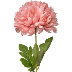 Clayre & Eef 5PL0133P Fleur artificielle rose...